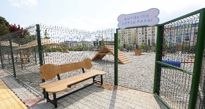 Buca’da can dostlarına yeni yaşam alanı