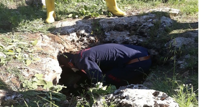 Kuyuda cesedi bulunan kadının yakınları ve çoban serbest bırakıldı