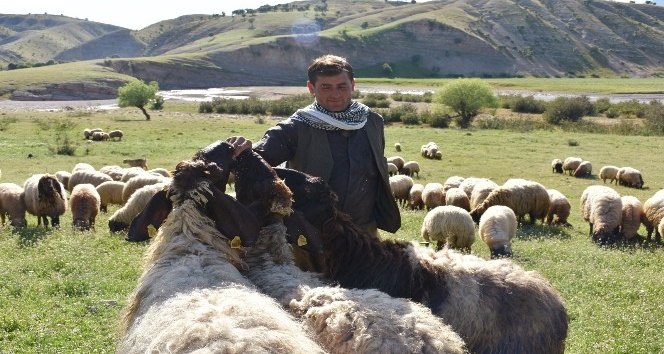 Mera yasakları kalktı, göçerler yollara düştü
