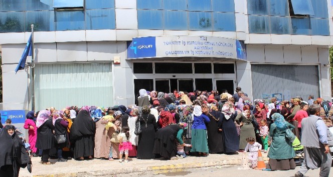 TYP Başvurularına yoğun ilgi