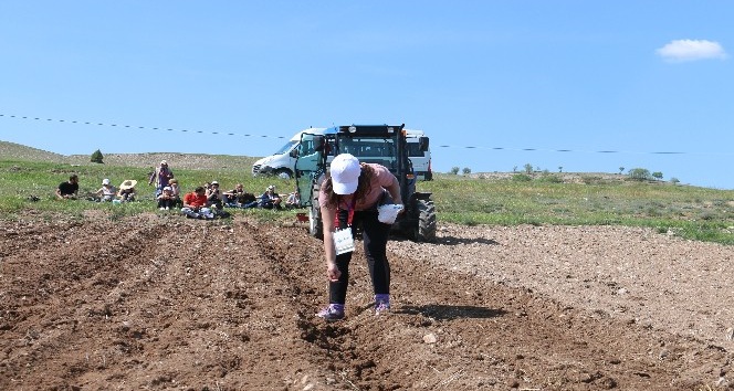 Köy hayatını üreterek ve yaşayarak öğrendiler