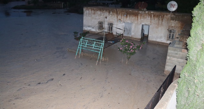 Şanlıurfa&#039;da evleri su bastı, hayvanlar telef oldu