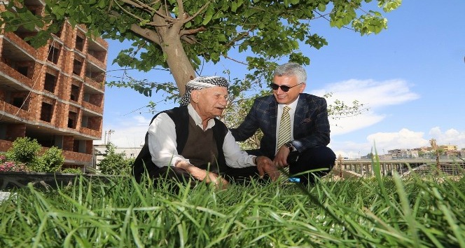 Cizre sokaklaları canlanıyor