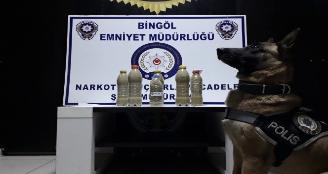 Bingöl’de uyuşturucu operasyonları: 6 şüpheli tutuklandı