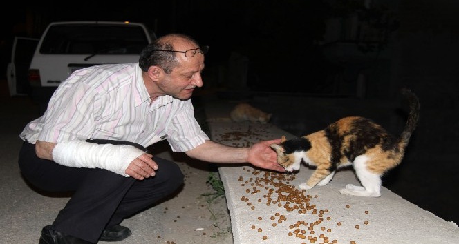 Aylık 2 bin Tl vererek sokak hayvanlarını besleyen adama meydan dayağı