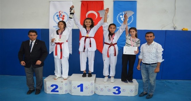Osmaniyeli  Taekwondocular Türkiye finalinde
