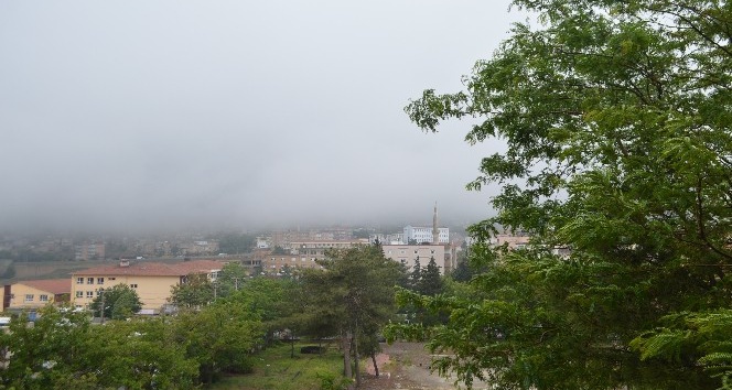 Mardin’de yağmur ve sis hayatını olumsuz etkiledi