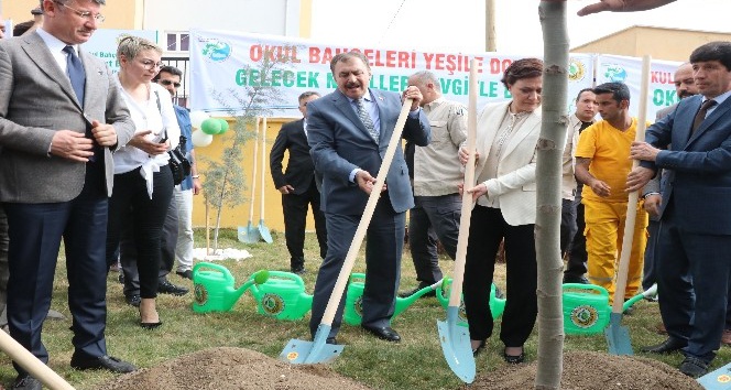 Bakan Eroğlu fidan dikti