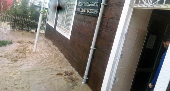 Ergani’de aşırı yağış sele neden oldu