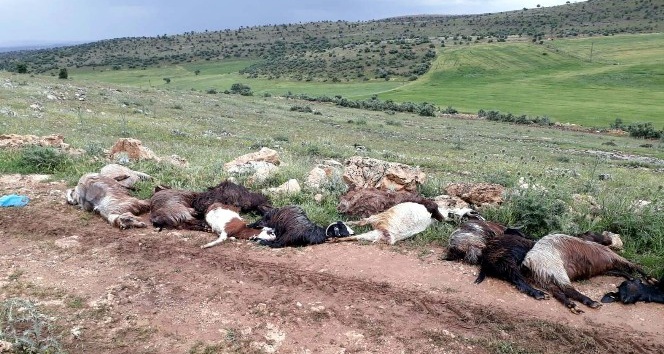 Mardin’de yıldırım çarpan çoban ağır yaralandı