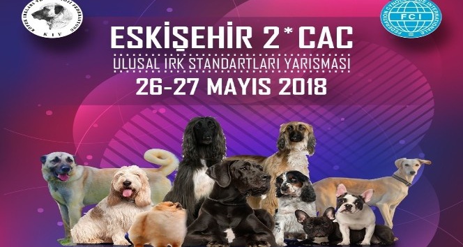 Köpek ırkları Eskişehir’de yarışacak