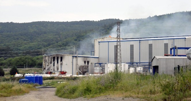 Kimyasal madde üreten fabrikanın ambarı yandı