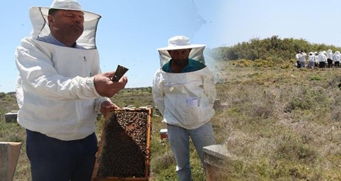 Bozcaada’da arı üreticilerine sertifikaları törenle dağıtıldı