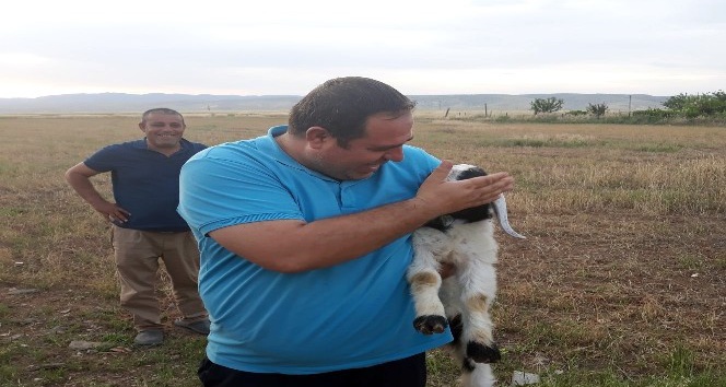 Nusaybin’de kuyuya düşen kuzuyu itfaiye kurtardı