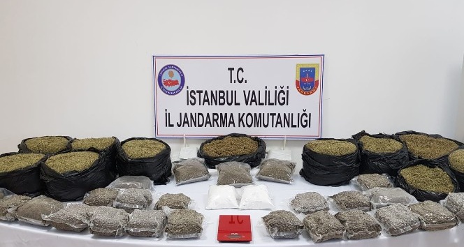 Jandarmadan uyuşturucu operasyonu: 40 kilo Bonzai ele geçirildi