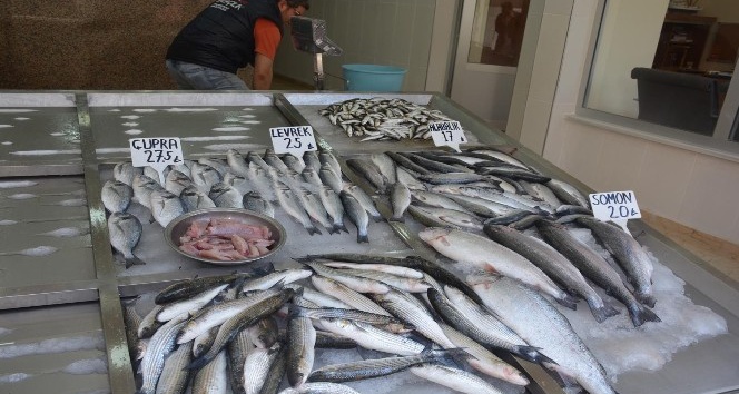 Sinop’ta Ramazan’da balık satışları düştü
