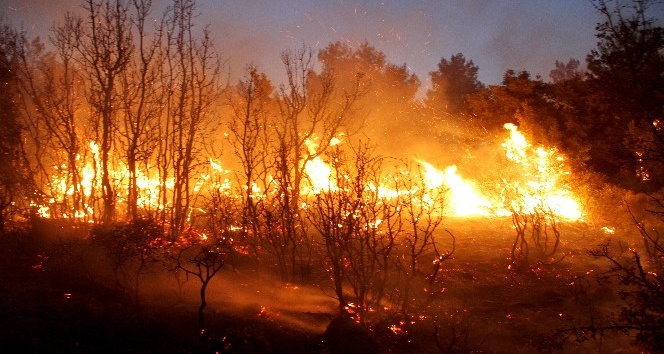 Seydikemer’de orman yangını: 20 hektar alan yandı