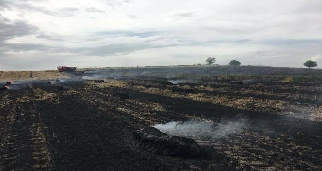 Tarlada çıkan yangın çiftçinin 30 dönüm buğdayını yaktı