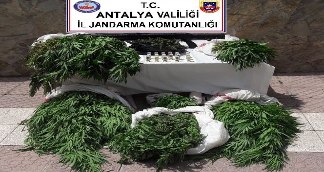 Antalya’da uyuşturucu operasyonları