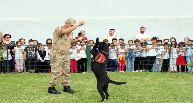 Jandarma erzak tespit köpeği ’Bahis’ öğrencilerin gözdesi oldu