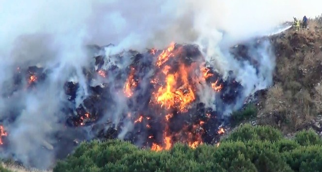 Ayvalık’ta  çöplük yangını ormanlık alana sıçramadan güçlükle kontrol altına alındı