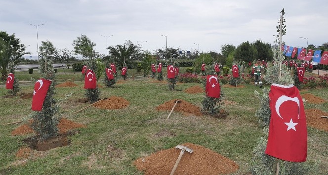 Afrin Şehitleri için Trabzon’da hatıra ormanı oluşturuldu