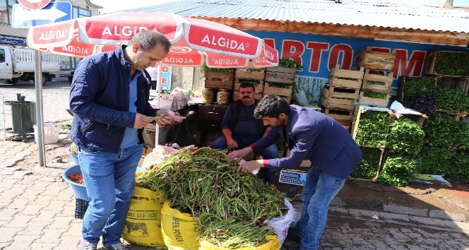 ‘İkiz iksiri’ olarak bilinen cağ bitkisi tezgaha çıktı.