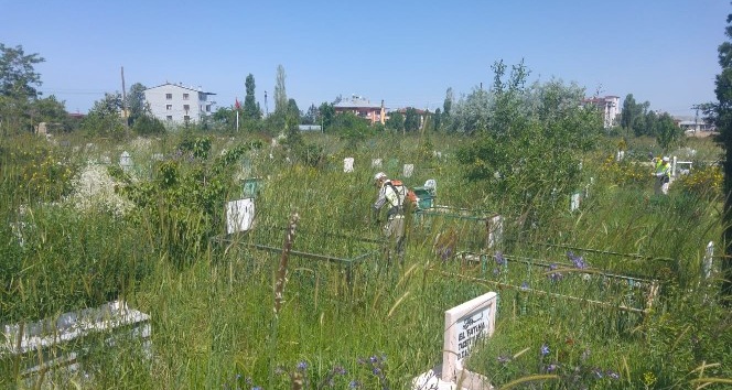 Van’daki mezarlıklar yabani otlardan arındırılıyor