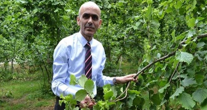 Giresun Ziraat Odasından gübreleme uyarısı