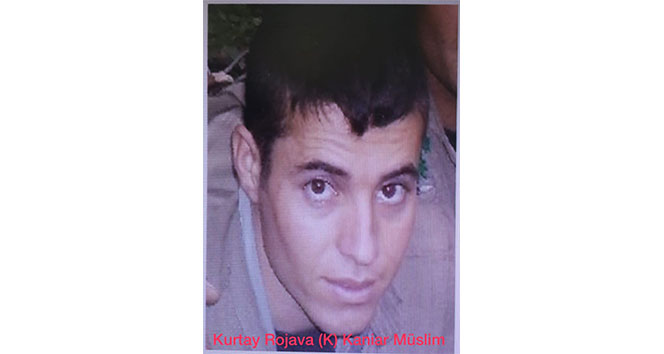 'Tunceli'de PKK'ya ağır darbe; Azılı terörist "Miros" öldürüldü