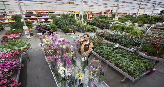 İBB Bahçe Market’ten 5 Haziran Çevre Günü’ne özel indirim