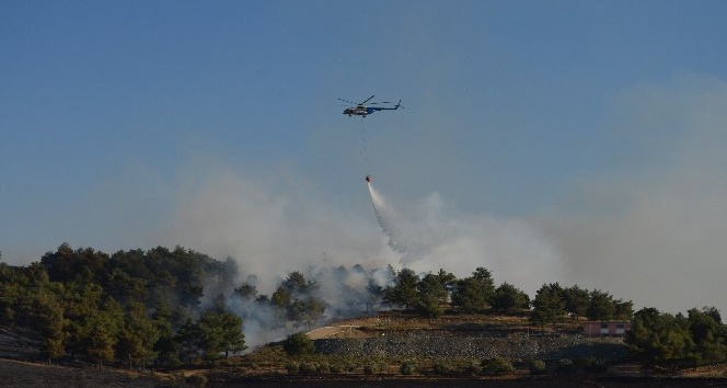 Hatay’da 7 hektarlık ormanlık alan yandı