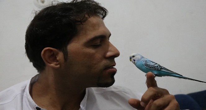 "Başkan Tayyip Erdoğan" diyen muhabbet kuşu