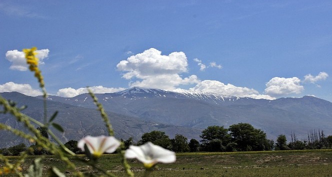 Erzincan’a haziranda kar yağdı