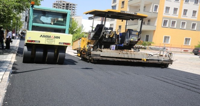 Nurihas Mahallesinde asfaltlama Çalışması başladı