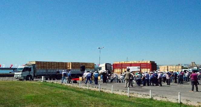 Çiftçilere 4 kamyon arı kovanı dağıtıldı