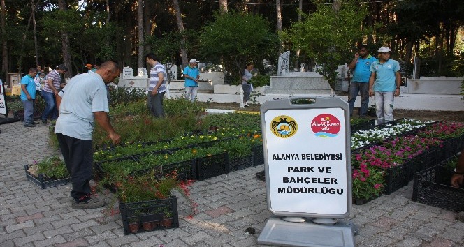Alanya Belediyesi, 21 mezarlıkta 42 bin çiçek dağıtacak