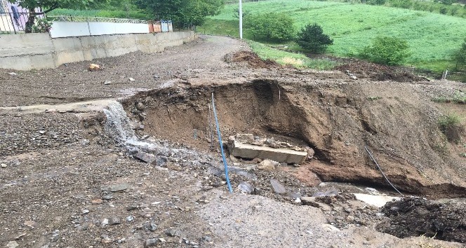 Gümüşhane’de sağanak yağış ve dolu zarara yol açtı
