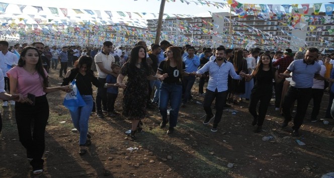 HDP Eş Genel Başkanı Temelli’den Cizre mitingi