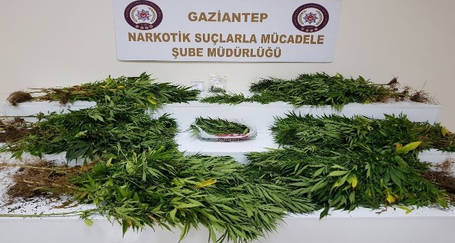 Gaziantep’te uyuşturucu satıcılarına operasyon: 11 tutuklama