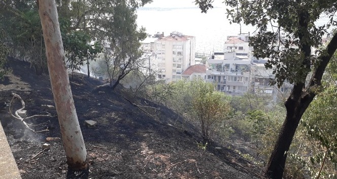 İzmir’de parkta korkutan yangın