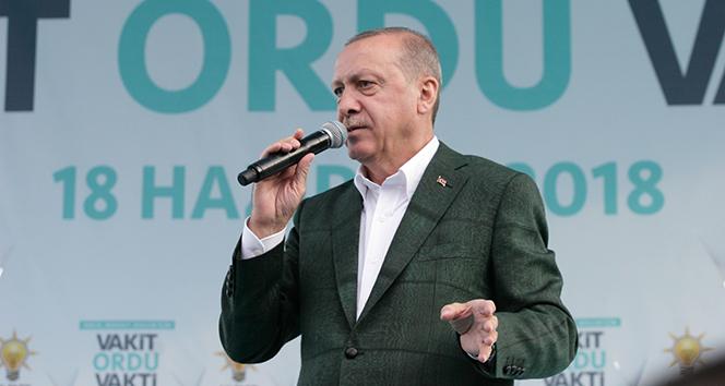 Cumhurbaşkanı Erdoğan: &#039;Fındık üreticisini mağdur etmeyeceğiz&#039;