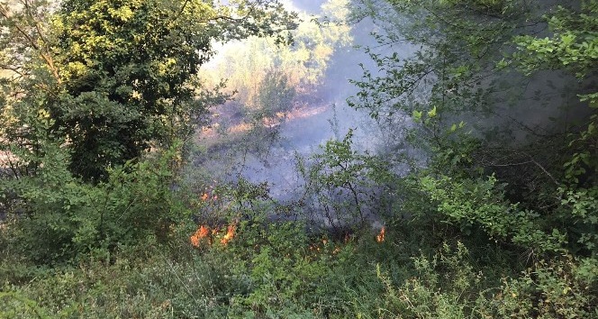 Zonguldak’ta 2 dönüm tarla yandı
