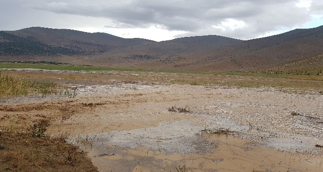 Antalya’da şiddetli yağmur nohut tarlalarını çamur deryasına çevirdi