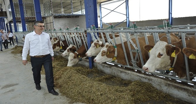 Eskişehir’e modern süt tesisleri kuruluyor