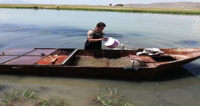 Jandarma kaçak avcılıkta kullanılan ve çayın derin sularına gömülen kayığa el koydu