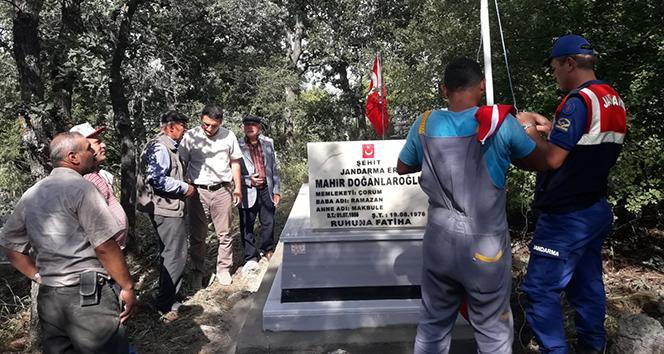Şehit Doğanlaroğlu&#039;nun mezarı yenilendi