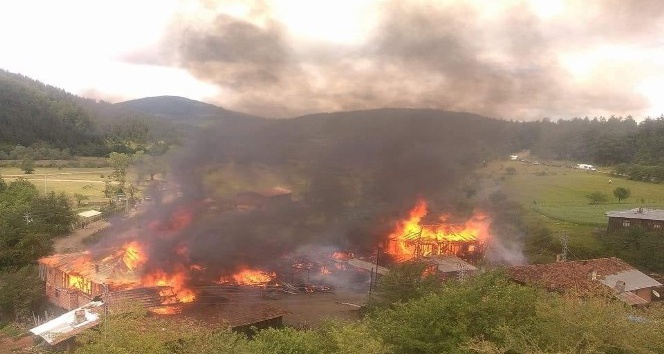 Kastamonu’da çıkan yangında 3 ev, 3 kuruluk, 3 ahır, 2 ambar yandı
