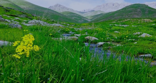 Terörün yerini huzura bıraktığı Beytüşşebap fotoğraflarla büyüledi