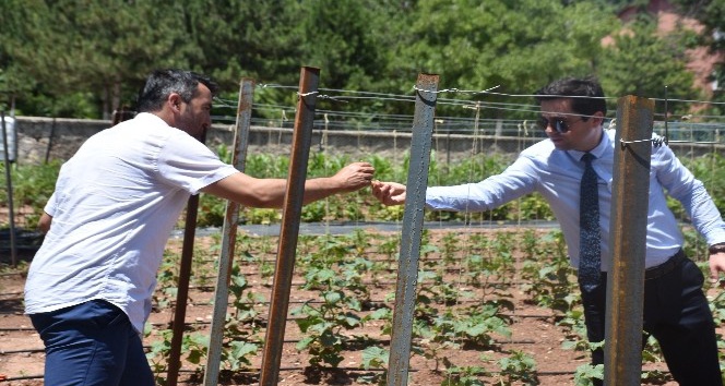 İlçede tarımın büyümesi için kaymakamlık örnek bahçe yaptı